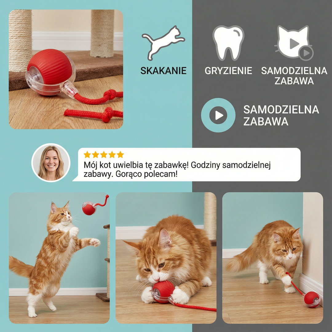 Kocia Zabawka Piłka z Sznurkiem ⎜ Skakanie i Gryzienie dla Samodzielnej Zabawy